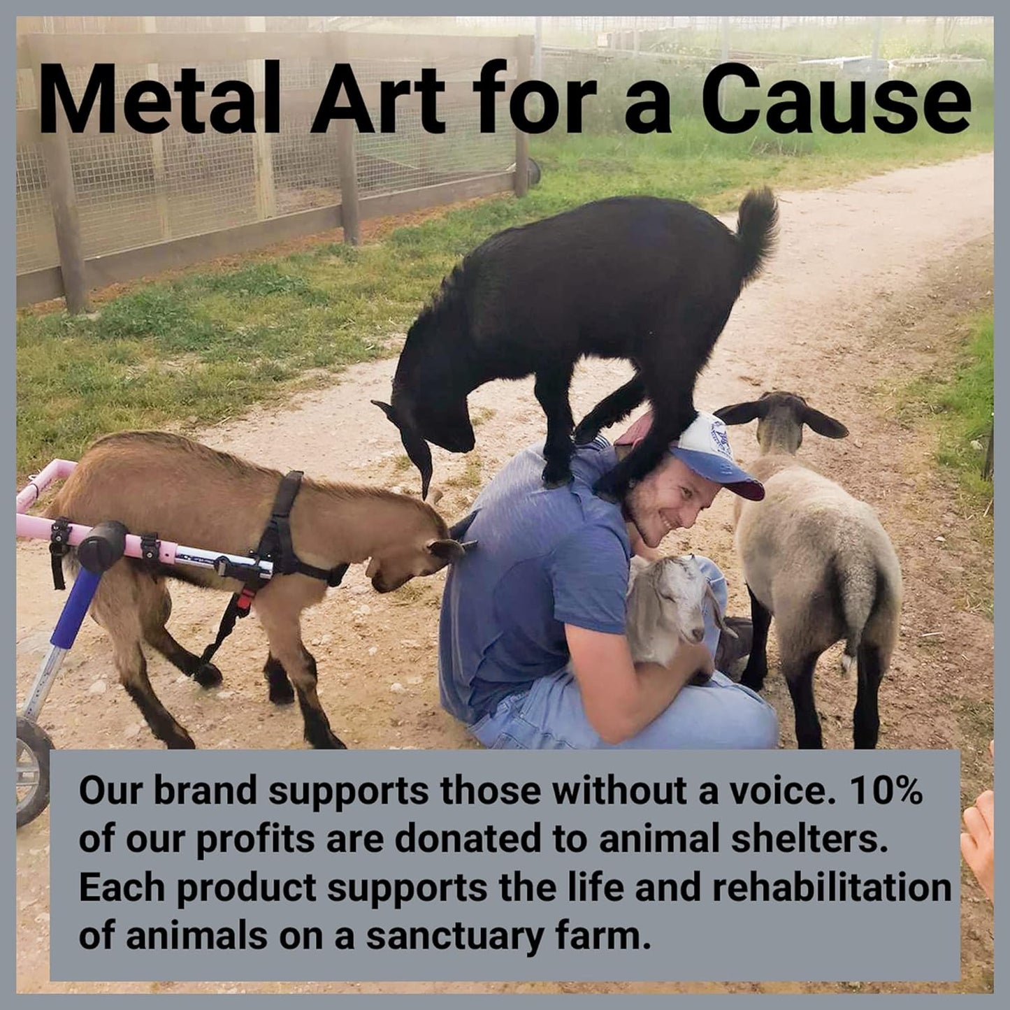 Metal Dog Wall Decor | Dog & Living Room Wall Art | Minimalist Room Decor (Sleeping Labrador) (Love)