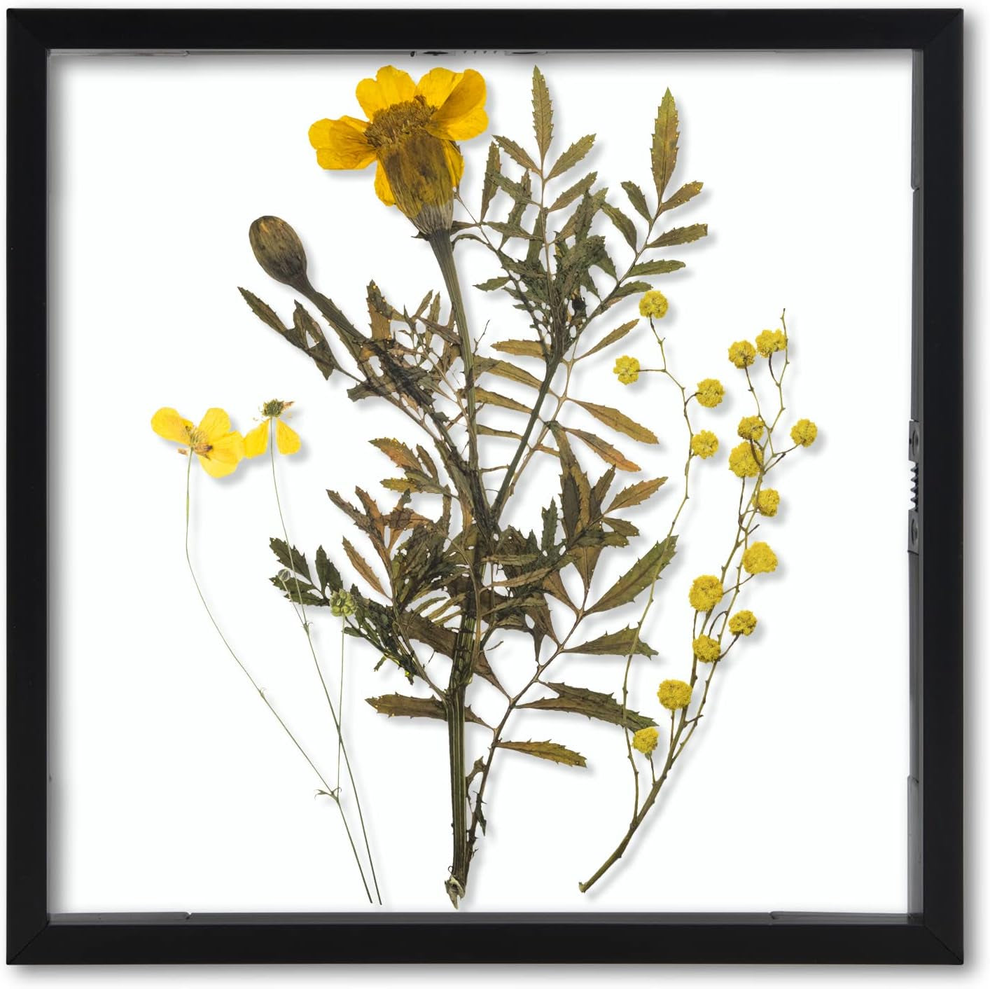 , Floating Picture Frame 8X8 - Black Aluminum Metal Photo Frame - Real Glass of Front - for Wall Mount Displays