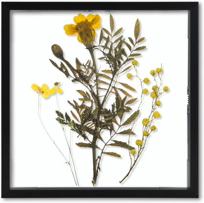 , Floating Picture Frame 8X8 - Black Aluminum Metal Photo Frame - Real Glass of Front - for Wall Mount Displays