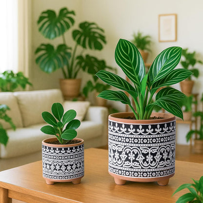 Set of 2 Terracotta Planter Pots, 4 Inch & 6 Inch, Design Plants Pot with Drainage Hole, Midnight Lace, Terracotta/Black, 31-953-F-2