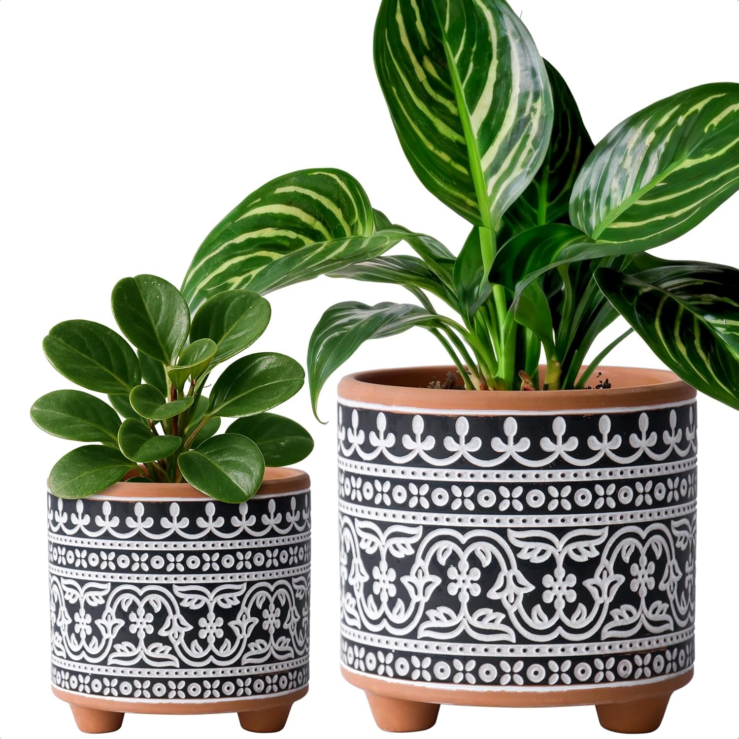 Set of 2 Terracotta Planter Pots, 4 Inch & 6 Inch, Design Plants Pot with Drainage Hole, Midnight Lace, Terracotta/Black, 31-953-F-2