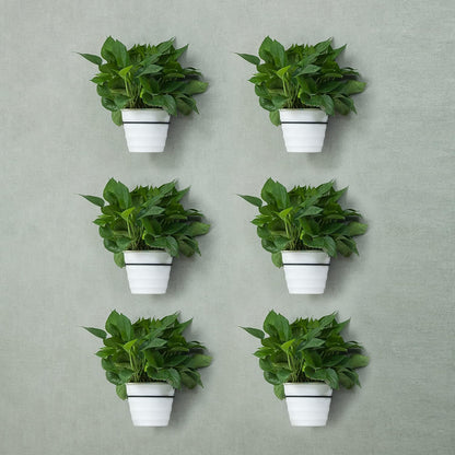 6 Inch Flower Plant Holder Ring Wall Mounted Metal Plant Pot Hanger, Set of 6 Pot Ring Plant Wall Hanger, Planter Bracket, Iron Black