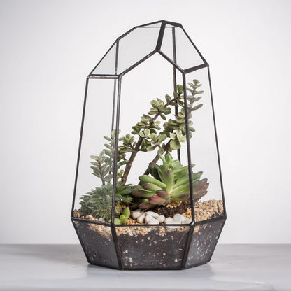 Geometric Glass Terrarium Planter for Succulent, Small Cacti, Black Irregular Opened Container Pot, Indoor Home Garden Office Tabletop Decor, 6.5" X 5.7" X 9.8" (No Plants, No Door)