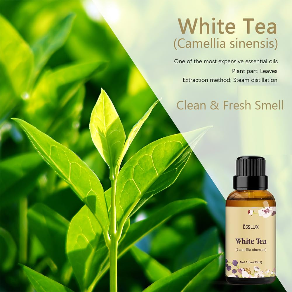 White Tea Essential Oil,  Aromatherapy Essential Oils for Diffuser, Massage, Soap, Candle Making, Home Fragrance, 30 Ml