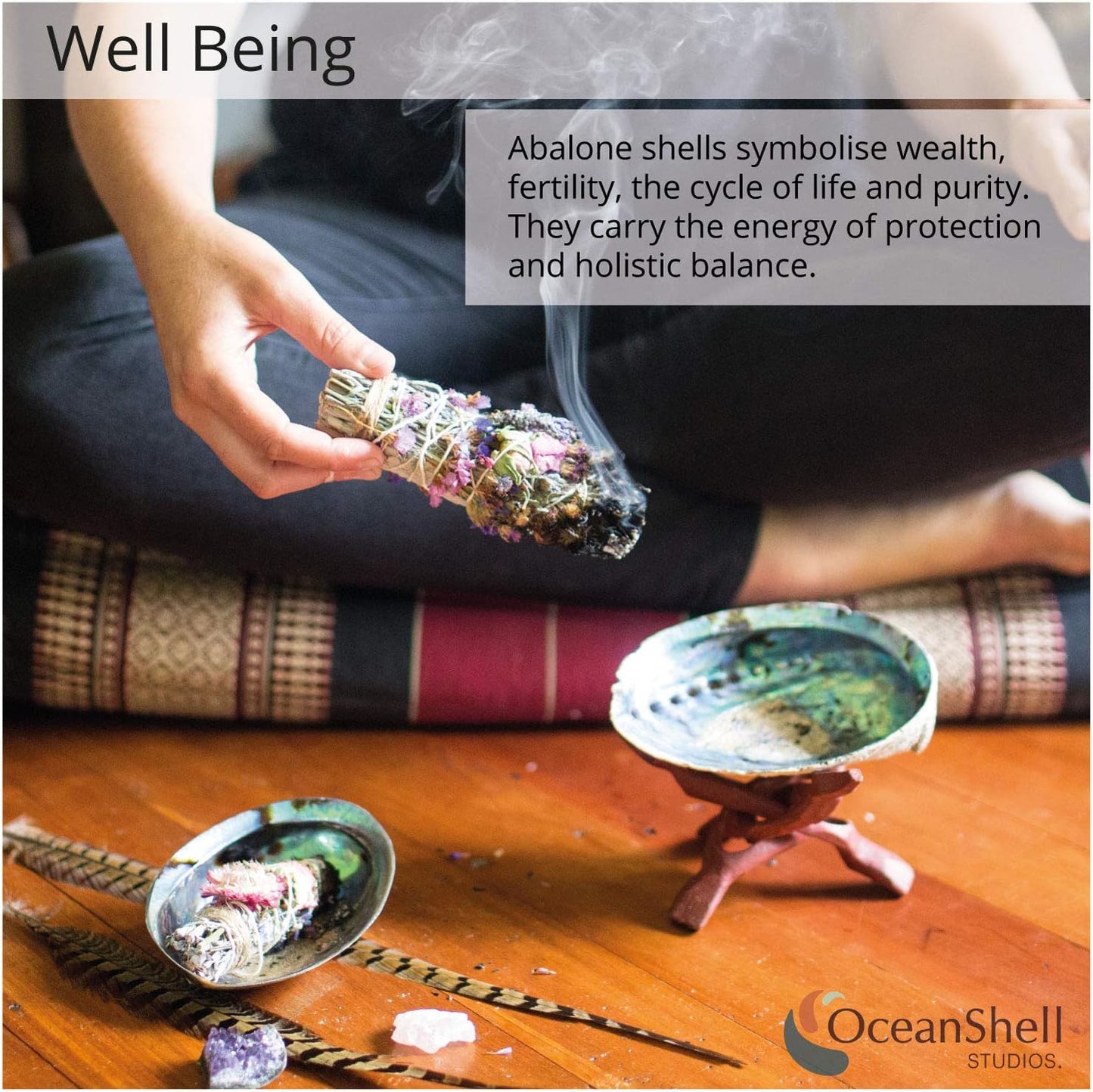 Natural Abalone (Pāua) Shell, with Stand,6-6.5 Inches,Supreme for Smudging,Cleansing Home,Meditation,Shell Crafts,Incense Holder,100% Natural, Sustainably Sourced by Ocean Shell Studios NZ