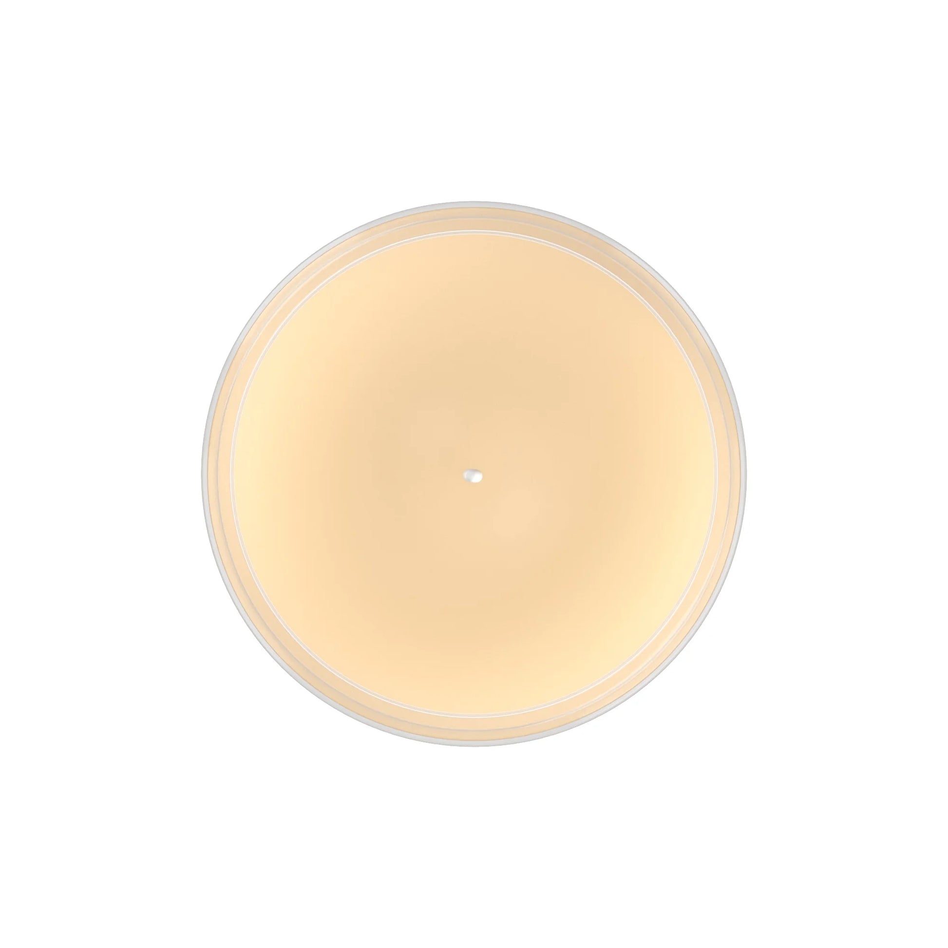 Single-Wick Scented Glass Jar Candle, Frosted Spice Cupcakes, 20Oz.