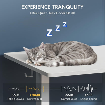One-Piece Electric Standing Desk, 48 X 24 Inches Adjustable Desk with Seamless Desktop, Memory Controller Height Adjustment (White Frame + White Desktop, 2 Packages)