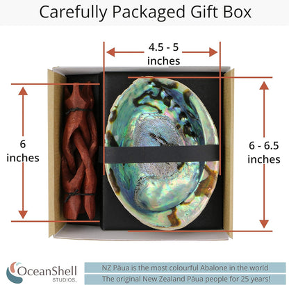 Natural Abalone (Pāua) Shell, with Stand,6-6.5 Inches,Supreme for Smudging,Cleansing Home,Meditation,Shell Crafts,Incense Holder,100% Natural, Sustainably Sourced by Ocean Shell Studios NZ