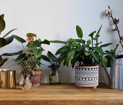 Set of 2 Terracotta Planter Pots, 4 Inch & 6 Inch, Design Plants Pot with Drainage Hole, Midnight Lace, Terracotta/Black, 31-953-F-2