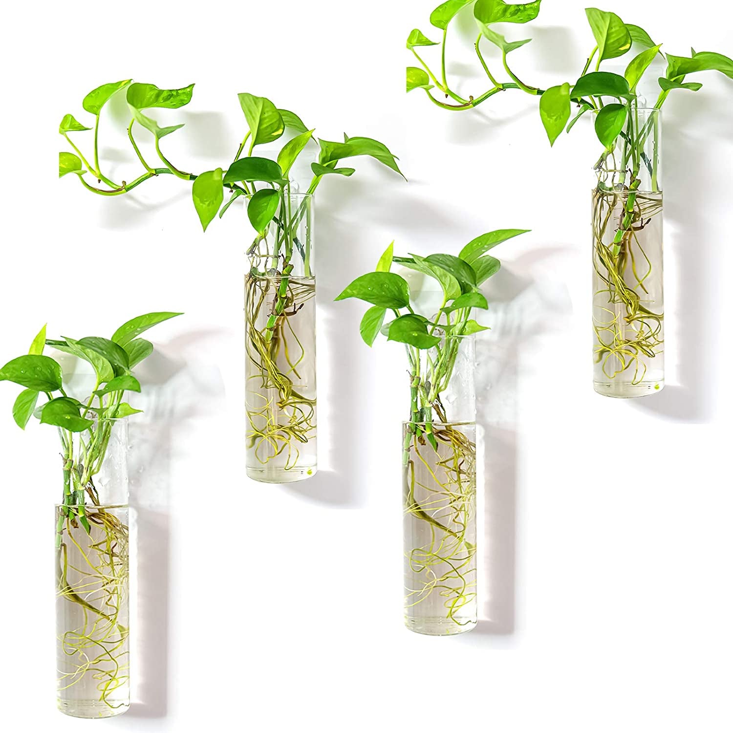 Wall-Mounted Plant Terrarium Propagation Station - 4 Cylinder Hanging Glass Tubes Planter for Hydroponic Plants, Indoor Wall Vases & Decorative Plant Holder Bathroom Office Living Room Decor
