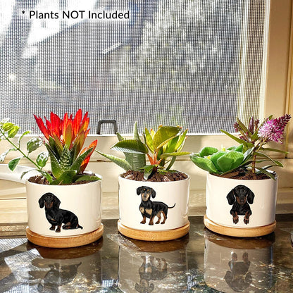 Dachshund Gifts for Women - Perfect for Birthday or Christmas, Our Weiner Dog Succulent Planters Are Unforgettable Daschund Gifts for Women and Arrive Beautifully Gift Boxed for Christmas